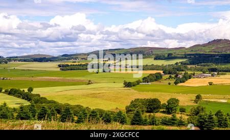 Dundee, Tayside, Schottland, Großbritannien. Juli 2024. Wetter in Großbritannien: Sonniges und bewölktes Sommerwetter mit wunderschönem Blick auf die Dundee Sidlaw Hills und Strathmore Valley, Schottland. Quelle: Dundee Photographics/Alamy Live News Stockfoto