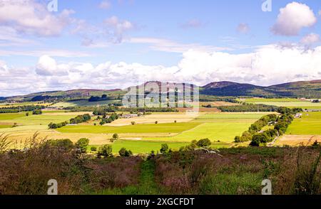 Dundee, Tayside, Schottland, Großbritannien. Juli 2024. Wetter in Großbritannien: Sonniges und bewölktes Sommerwetter mit wunderschönem Blick auf die Dundee Sidlaw Hills und Strathmore Valley, Schottland. Quelle: Dundee Photographics/Alamy Live News Stockfoto