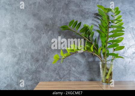 Eine Topfpflanze auf einem Holztisch in einem modernen Wohnzimmer. Die Pflanze ist grün mit großen, glänzenden Blättern. Die Blätter sind spiralförmig angeordnet, g Stockfoto