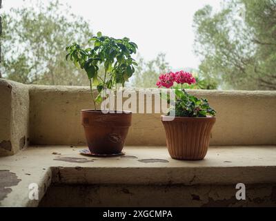 Gemütliche Italienische Veranda. Eine horizontale Nahaufnahme in der sardischen Landschaft. Stockfoto