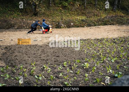 Lukla, Nepal - 14. november 2023: Zwei nepalesische Sherpa-Kinder spielen im Dorf Himalaya bei Gartenpflanzen im Freien zusammen. EBC. Nepalesische Kultur Stockfoto