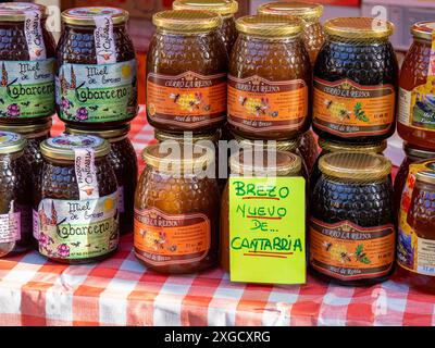 heidekraut-Honig-Kantabra, Cabezón de la Sal, Region Saja-Nansa, Kantabrien, Spanien. Stockfoto