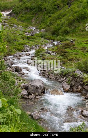 Das Wasser aus dem schmelzenden Schnee in den Vorarlberger Alpen fließt den Bach hinunter, der Schnee auf den Bergen schmilzt und wird zu einer flussgrünen Blumenwiese Stockfoto