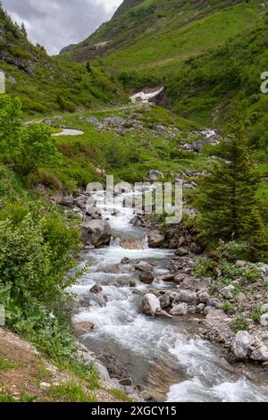 Das Wasser aus dem schmelzenden Schnee in den Vorarlberger Alpen fließt den Bach hinunter, der Schnee auf den Bergen schmilzt und wird zu einer flussgrünen Blumenwiese Stockfoto