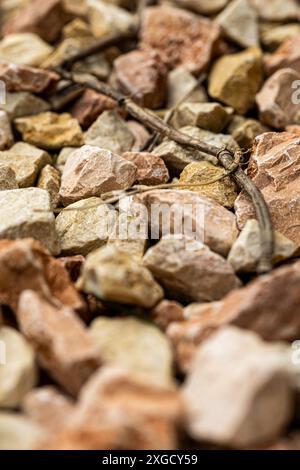 Eine Nahaufnahme von verschiedenfarbigen Kiessteinen Stockfoto