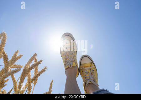 Weibliche Beine in gelben Sneakers aus Stoff vor blauem Himmel und Sonne, Weizenohren an der Seite des Rahmens. Gehen Sie in der Natur, Konzept von Stockfoto