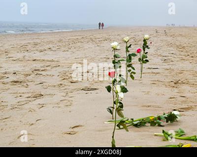 Eine Linie aus weißen und roten Rosen ist im Sand an einem Strand geklebt. Das Meer liegt im Hintergrund und einige Leute können am Strand entlang laufen sehen Stockfoto