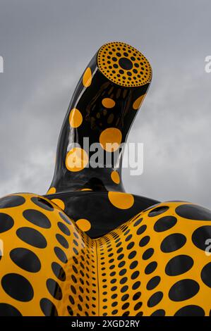 London, Großbritannien. Juli 2024. Kürbis, 2024, von Yayoi Kusama, Courtesy Ota Fine Arts, Victoria Miro und David Zwirner, organisiert von der Serpentine Gallery und den Royal Parks. Gelegen am Round Pond in Kensington Gardens vom 9. Juli bis 3. November 2024. Es ist Kusamas höchste Bronze-Kürbisskulptur, mit einer Höhe von 6 Metern und einem Durchmesser von 5,5 Metern. Guy Bell/Alamy Live News Stockfoto