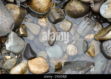 Nahaufnahme von Kieselsteinen im Flachwasser, am Flussufer. Zen und entspannendes Hintergrundbild Stockfoto