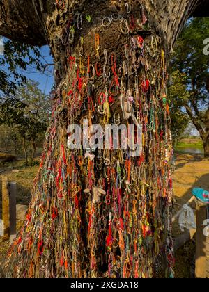 Der Mordbaum, der den Toten gewidmet ist, die während des Konflikts der Roten Khmer in Choueng Ek, Phnom Pehn, Kambodscha, Indochina, Südostasien, Asien Stockfoto