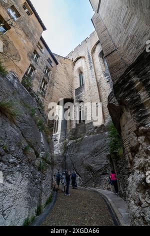 Palast der Päpste, Avignon, UNESCO-Weltkulturerbe, Vaucluse, Provence-Alpes-Cote d'Azur, Frankreich, Europa Stockfoto