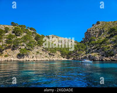 Halbinsel Formentor, Mallorca, Balearen, Spanien, Mittelmeer, Europa Stockfoto