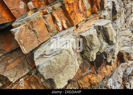 Gefaltete Sedimentgesteine in Klippen an der Welcombe-Mündung, an der Atlantikküste; Hartland, Nord-Devon, England, Vereinigtes Königreich, Europa Stockfoto