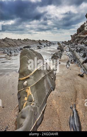 Ein felsiges Ufer bei Ebbe und unter grauem Himmel; am Welcombe Mouth, Hartland, Nord-Devon, England, Vereinigtes Königreich, Europa Stockfoto