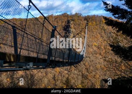 Geierlay-Hängebrücke in einer herbstlichen Landschaft mit Bäumen, Rheinland-Pfalz, Deutschland, Europa Stockfoto