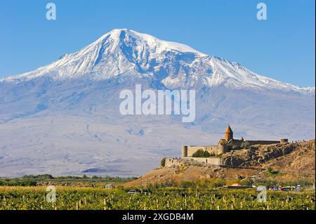 Weinberge vor dem Khor Virap Kloster, Ararat Ebene, Mount Ararat im Hintergrund, Artashat, Armenien, Eurasien Stockfoto