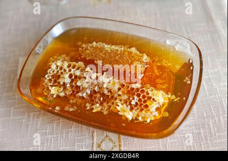 Honigprobe im Haus von Raznik Mouradyan, Imker in Vedi, einem Dorf in der Ebene von Ararat, Artashat, Armenien, Eurasien Stockfoto