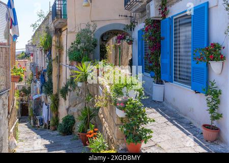 Blick auf die farbenfrohe enge Straße, Haus mit blauen Fensterläden und Topfpflanzen, Neapel, Kampanien, Italien, Europa Stockfoto
