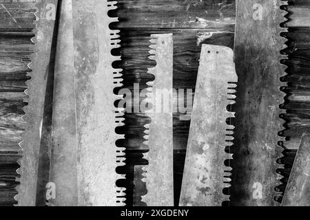 MT00255-00-BW...MONTANA - Sägen Sie Sägeblätter an der Wand in Frank A. Davey's Store in der Geisterstadt Garnet. Stockfoto