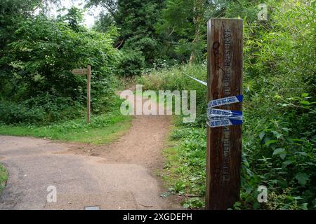 Slough, Großbritannien. 8. Juli 2024 die Thames Valley Police hat einen Teil des Herschel Parks an der Datchet Road in Slough, Berkshire, abgesperrt. Gestern gegen 13:16 Uhr besuchten Beamte den Herschel Park, nachdem sie einen Bericht aus der Öffentlichkeit hatten. Beamte besuchten den Tatort und fanden die Überreste einer Person. Eine Untersuchung über den Tod läuft, der derzeit als ungeklärt behandelt wird. Quelle: Maureen McLean/Alamy Live News Stockfoto