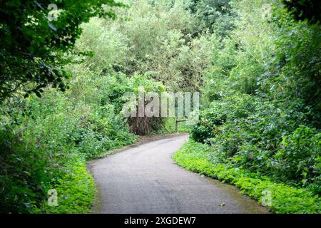 Slough, Großbritannien. 8. Juli 2024 die Thames Valley Police hat einen Teil des Herschel Parks an der Datchet Road in Slough, Berkshire, abgesperrt. Gestern gegen 13:16 Uhr besuchten Beamte den Herschel Park, nachdem sie einen Bericht aus der Öffentlichkeit hatten. Beamte besuchten den Tatort und fanden die Überreste einer Person. Eine Untersuchung über den Tod läuft, der derzeit als ungeklärt behandelt wird. Quelle: Maureen McLean/Alamy Live News Stockfoto