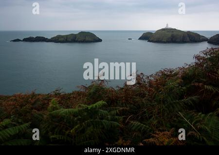 Blick auf den Leuchtturm von Strumble Head im spektakulären Pembrokeshire Nationalpark Stockfoto