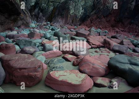 Farbige Steine am Caerfai Beach im Pembrokeshire Nationalpark Stockfoto