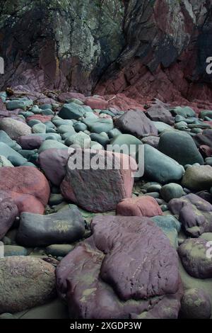 Farbige Steine am Caerfai Beach im Pembrokeshire Nationalpark Stockfoto