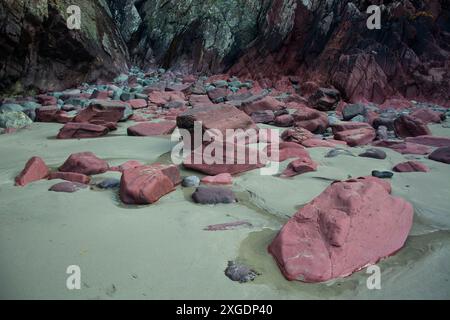 Farbige Steine am Caerfai Beach im Pembrokeshire Nationalpark Stockfoto