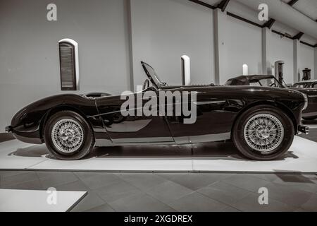 Austin Healey 100M BN2 1955 im Franschhoek Motor Museum Stockfoto