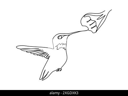 Kolibri, einzeilige Zeichnung Vektor-Illustration. Stock Vektor
