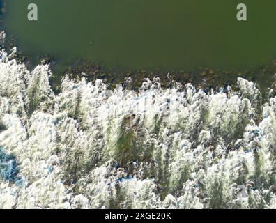 Drohnenblick auf die Stromschnellen des Flusses Save, die über untergetauchte Felsen auf dem Boden fließen und weiße Spritzer und Schaum erzeugen Stockfoto