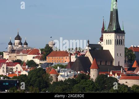 Die Skyline der alten mittelalterlichen Stadt Tallinn, Estland (vom Kreuzfahrtanleger aus gesehen) Stockfoto