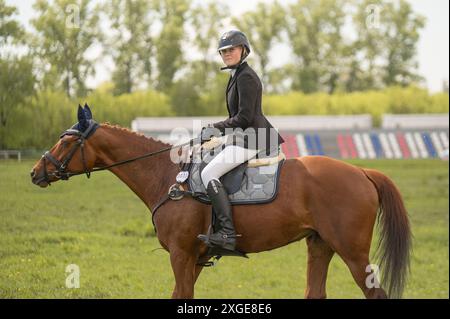 Junge Frau, die sich auf den Reitwettbewerb vorbereitet. Stockfoto