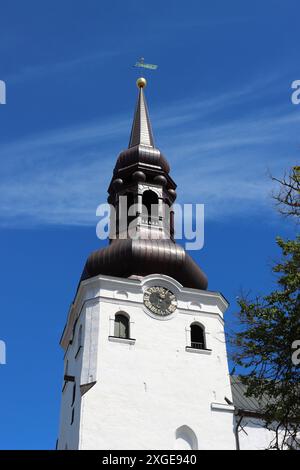 Kupferspitze der Marienkathedrale in Tallinn, Estland Stockfoto