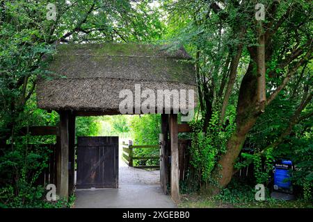 Reetgedecktes Eingangstor zum mittelalterlichen Dorf Cosmeston Country Park, South Wales. Vom Juli 2024 Stockfoto