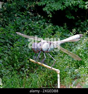 Große Dragonfly-Kunstwerke aus Metall auf der Forest Farm in Südwales. Vom Juli 2024 Stockfoto