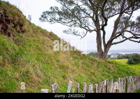 One Tree Hill - Auckland - Neuseeland Stockfoto