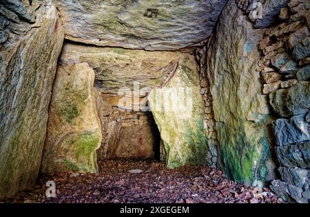 Hetty Peglers Tump alias Uley Long Barrow, 5000+ Jahre neolithische Schachtel. Gloucestershire, Großbritannien. Das Innere der Grabkammer der Galerie aus dem Durchgang Stockfoto