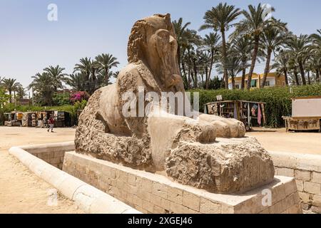 Menphis, Sphinx von Memphis, Alabaster Sphinx, Menphis Museum, antike Hauptstadt in Niederägypten, Gouvernement von Gizeh, Ägypten, Nordafrika, Afrika Stockfoto