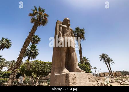 Menphis, stehende Statue von Ramsses II., Menphis Museum, antike Hauptstadt in Unterägypten, Gouvernement von Gizeh, Ägypten, Nordafrika, Afrika Stockfoto