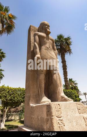 Menphis, stehende Statue von Ramsses II., Menphis Museum, antike Hauptstadt in Unterägypten, Gouvernement von Gizeh, Ägypten, Nordafrika, Afrika Stockfoto