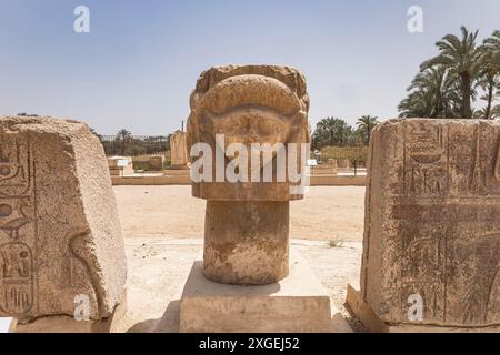 Menphis, Hauptstatue der Göttin Hathor in Kalkstein, Säulensäule, alte Hauptstadt in Unterägypten, Gouvernement von Gizeh, Ägypten, Nordafrika, Afrika Stockfoto