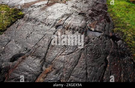 Schale und Ring mark Markiert Prähistorische Felszeichnungen aus der Jungsteinzeit auf natürliche Felsnase an Achnabreck in Kilmartin Valley, Argyll, Schottland, Großbritannien Stockfoto