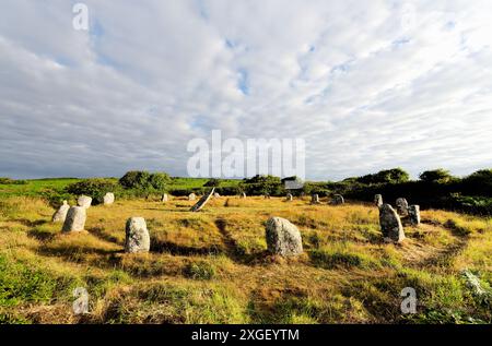 Boscawen UN bronzezeitlicher Steinkreis in der Nähe von Lands End, Cornwall, England. N. über die 19 Granitkreissteine plus 2,7 m geneigte Mittelsäule. Sonnenaufgang Stockfoto