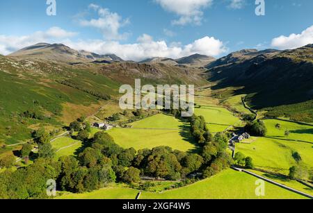 Eskdale im Lake District National Park, Cumbria. Blick über das Ackerland am oberen Ende des Tals nach Scafell (links), Esk Pike und Bow Fell (Mitte) Stockfoto