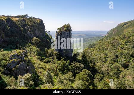 Felsnadel in einem dicht bewaldeten Canyon, Pinnacle Rock, Blick über die Landschaft des Canyons, in der Nähe von Graskop, Mpumalanga, Südafrika Stockfoto