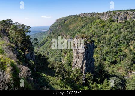 Felsnadel in einem dicht bewaldeten Canyon, Pinnacle Rock, Blick über die Landschaft des Canyons, in der Nähe von Graskop, Mpumalanga, Südafrika Stockfoto