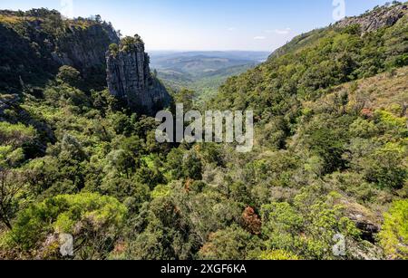 Felsnadel in einem dicht bewaldeten Canyon, Pinnacle Rock, Blick über die Landschaft des Canyons, in der Nähe von Graskop, Mpumalanga, Südafrika Stockfoto