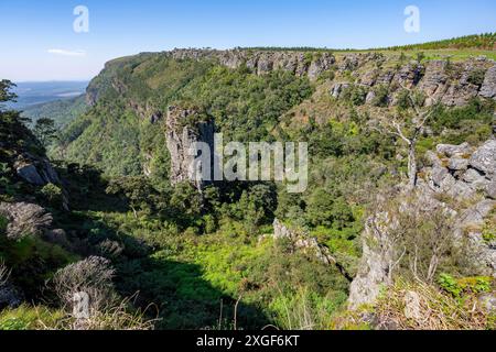 Felsnadel in einem dicht bewaldeten Canyon, Pinnacle Rock, Blick über die Landschaft des Canyons, in der Nähe von Graskop, Mpumalanga, Südafrika Stockfoto